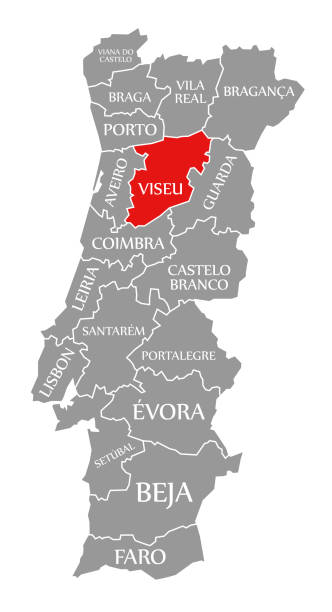 Campeonato Distrital de Viseu 2025